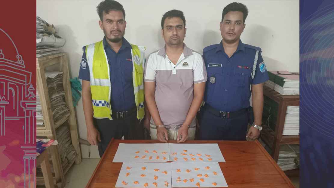 ফরিদপুরে ৪৫০ ইয়াবাসহ মাদক সরবরাহকারী ইসহাক গ্রেফতার